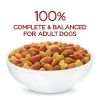 Purina Beneful Originals Dry Dog Food Farm Raised Beef, 36 lb Bag