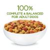 Purina Beneful Healthy Weight Dry Dog Food Farm Raised Chicken, 36 lb Bag