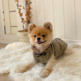 Autumn And Winter Pet Thickened Cotton Coat (Option: Army Green-XS)